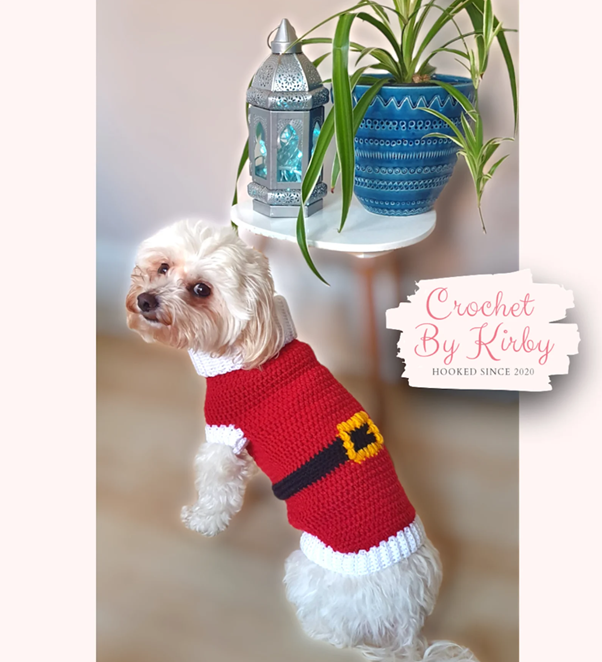 Crochet Santa dog sweater