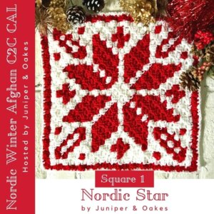 Red White Nordic Star Crochet