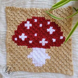 Crochet mushroom square