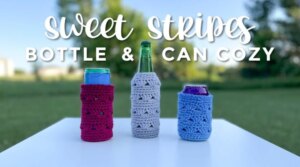 Sweet Stripes Bottle Can Cozy