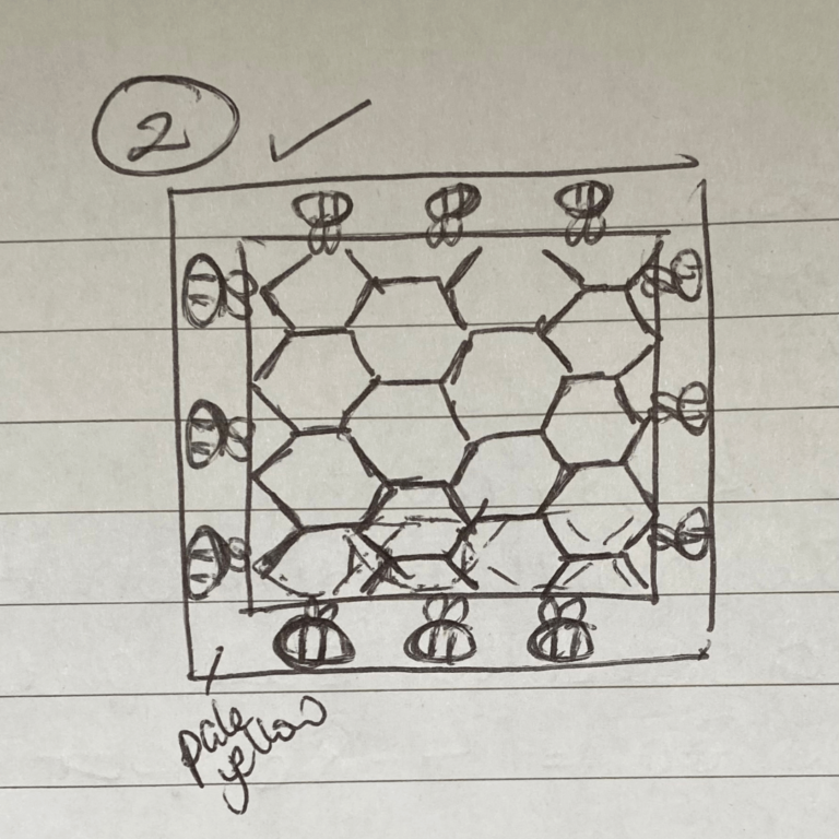 Honeycomb bee sketch design